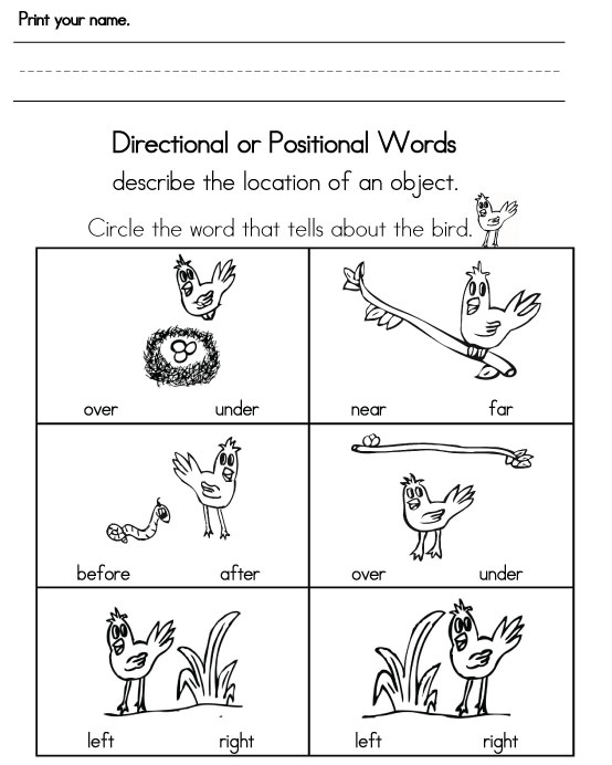 inside-and-outside-worksheet-inside-and-outside-worksheets-north-joanne