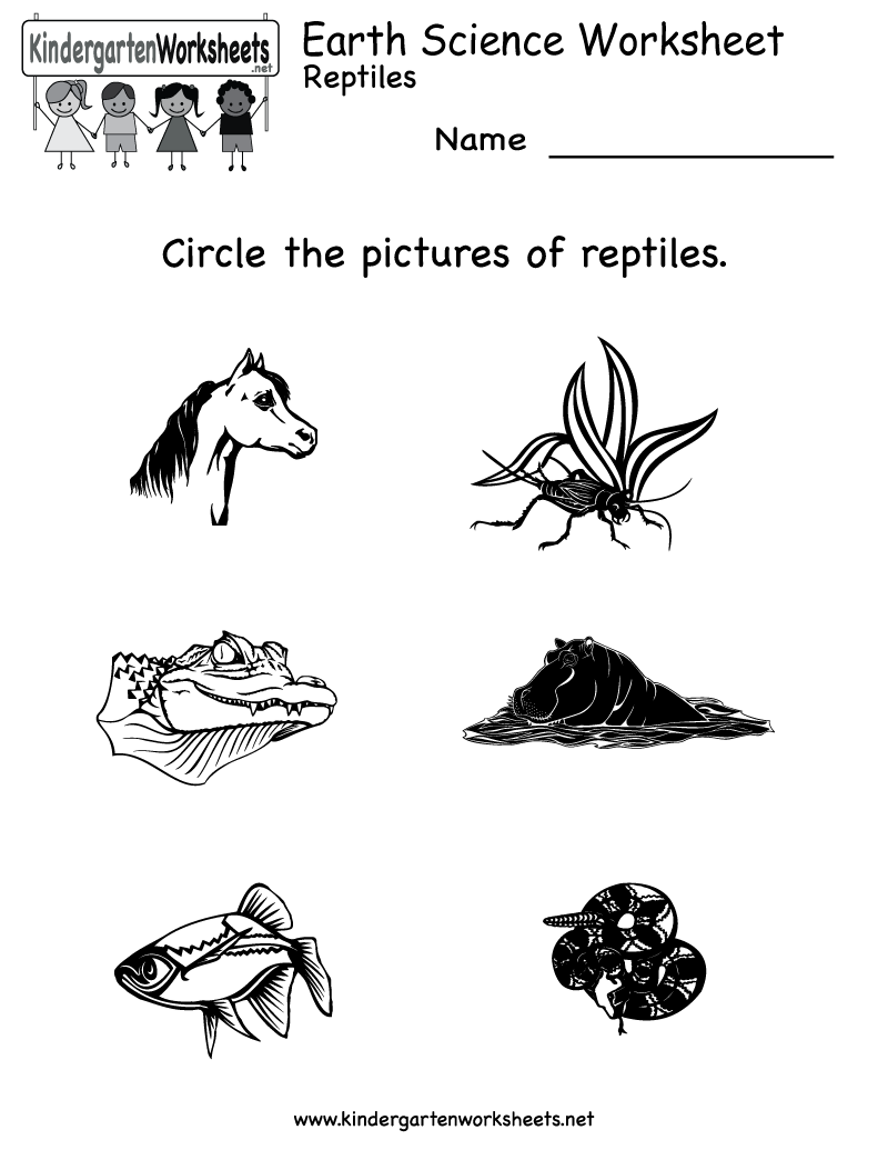 31 Science Worksheet For Kindergarten - Worksheet Iist Source