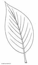 Printable Leaf Coloring Pages