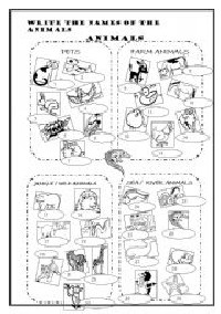 Land and Sea Animals Worksheets