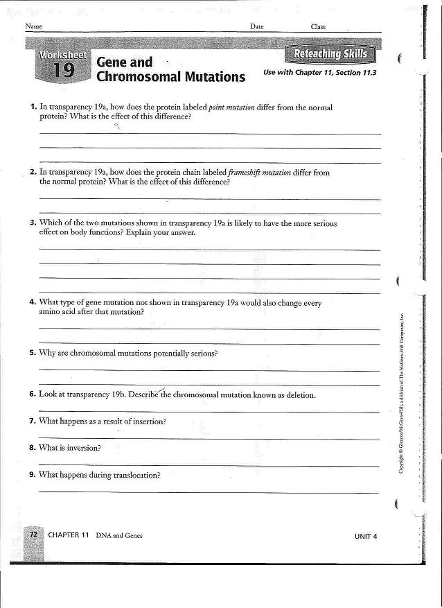 15 Best Images of Mutation Worksheet Biology  Genetic Mutation Worksheet Answer Key, DNA 