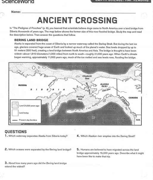 12 Best Images of Ecological Succession Worksheet  Ecological Succession Worksheet Answers 