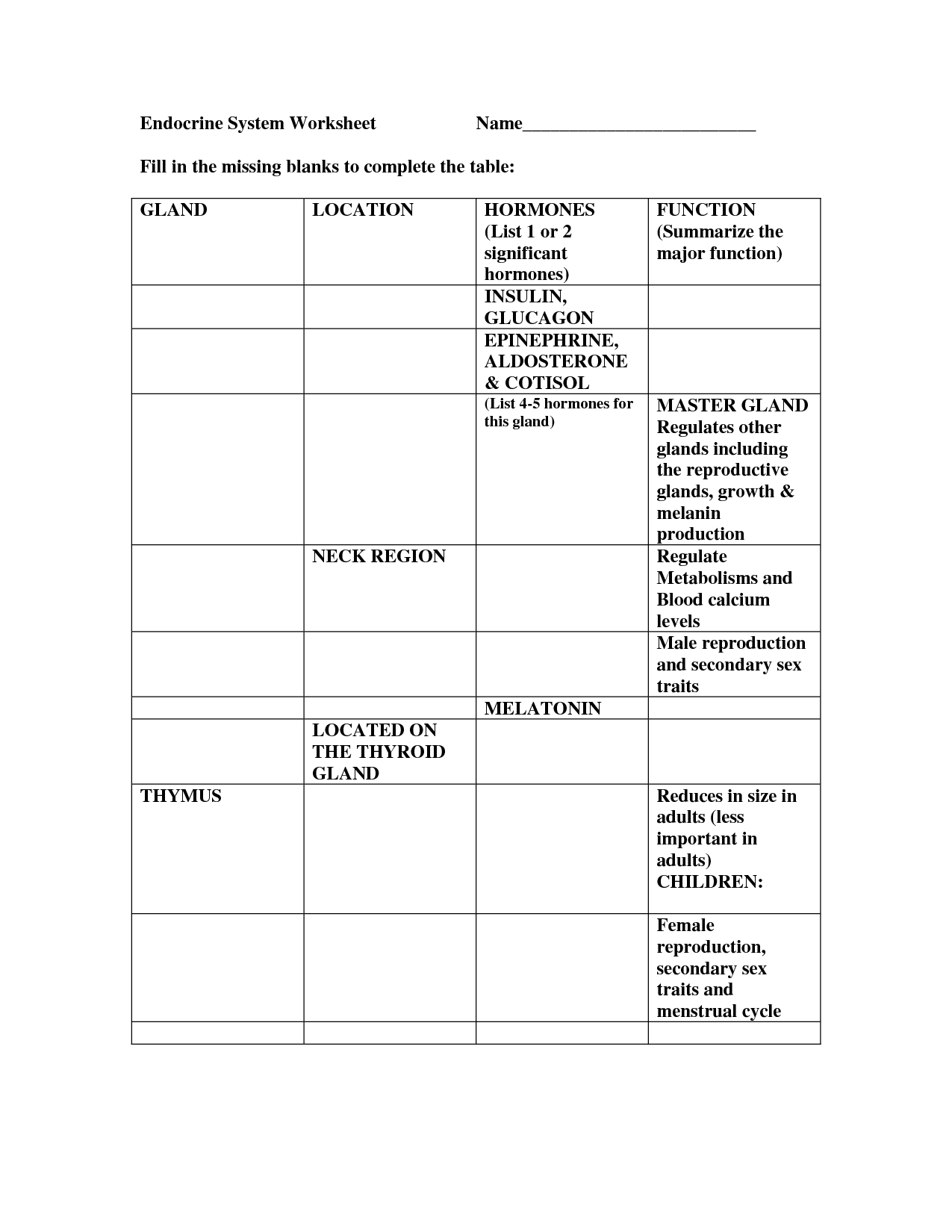 15-best-images-of-blank-function-tables-worksheets-function-tables-worksheets-input-output
