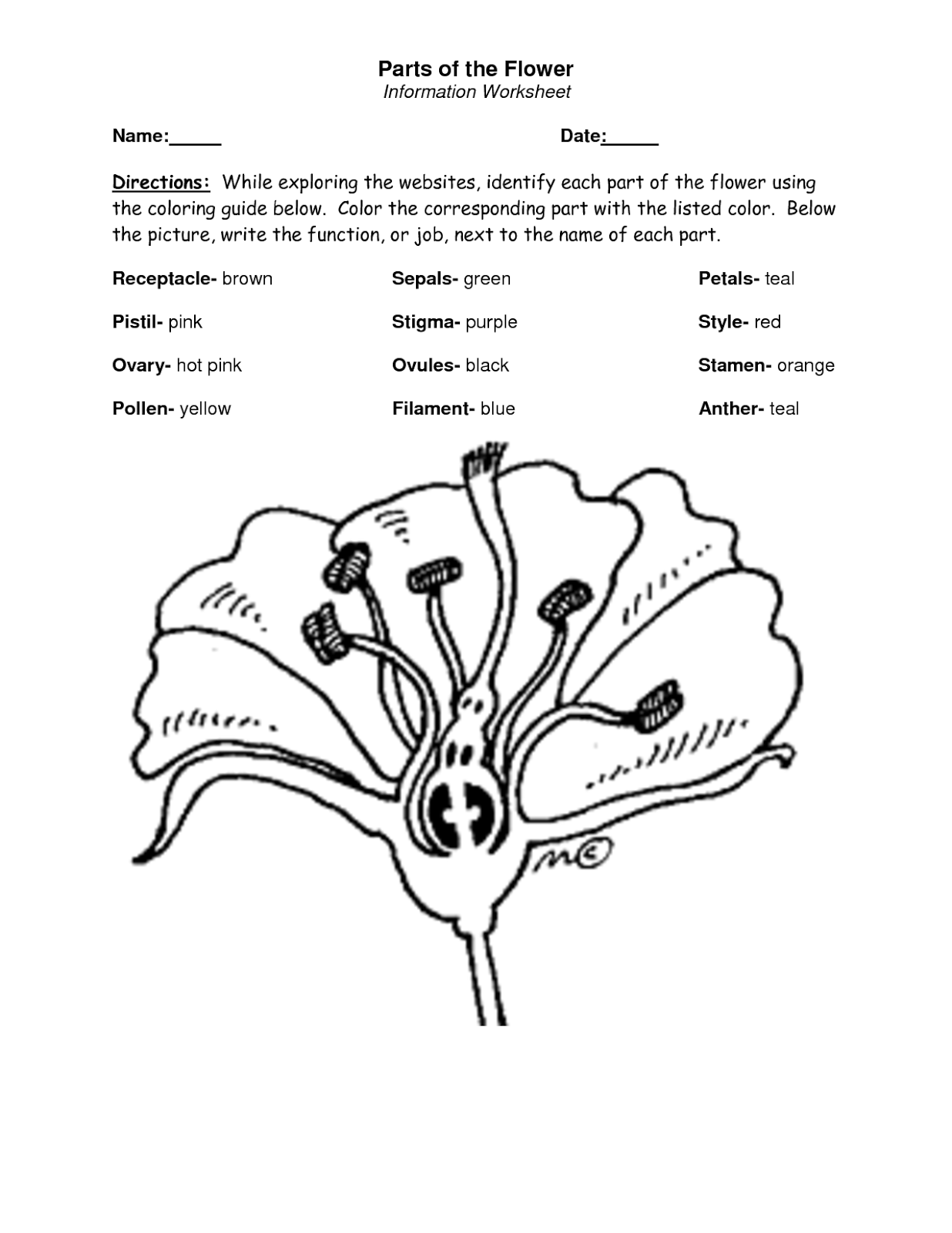 11 Best Images of Worksheet Label Parts Of A Tree - Plant Parts