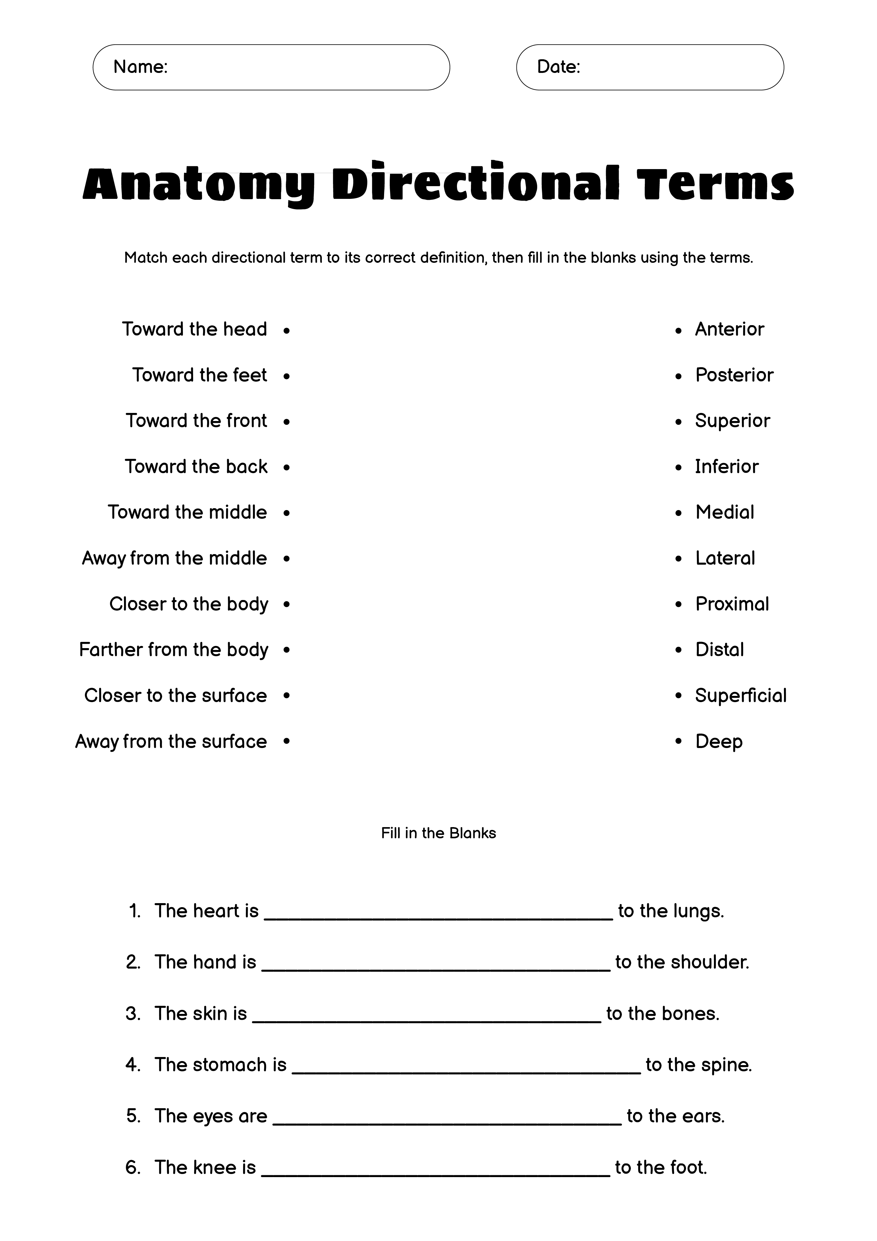 Directional Terms Worksheet Key