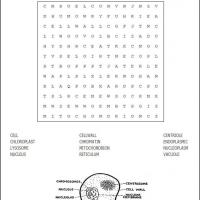 12 Images of Cells Word Search Worksheet