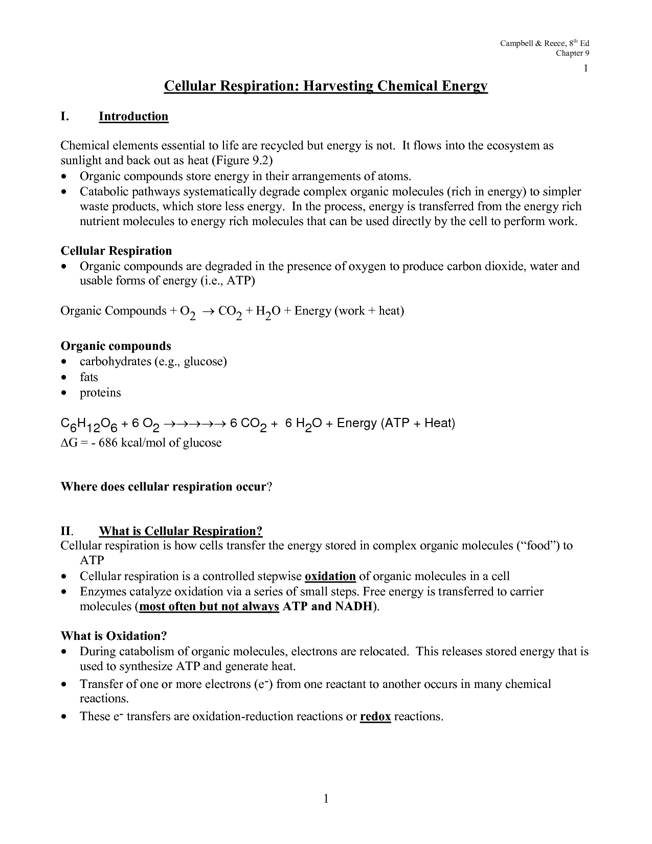 Example of cellular respiration Example of cellular respiration