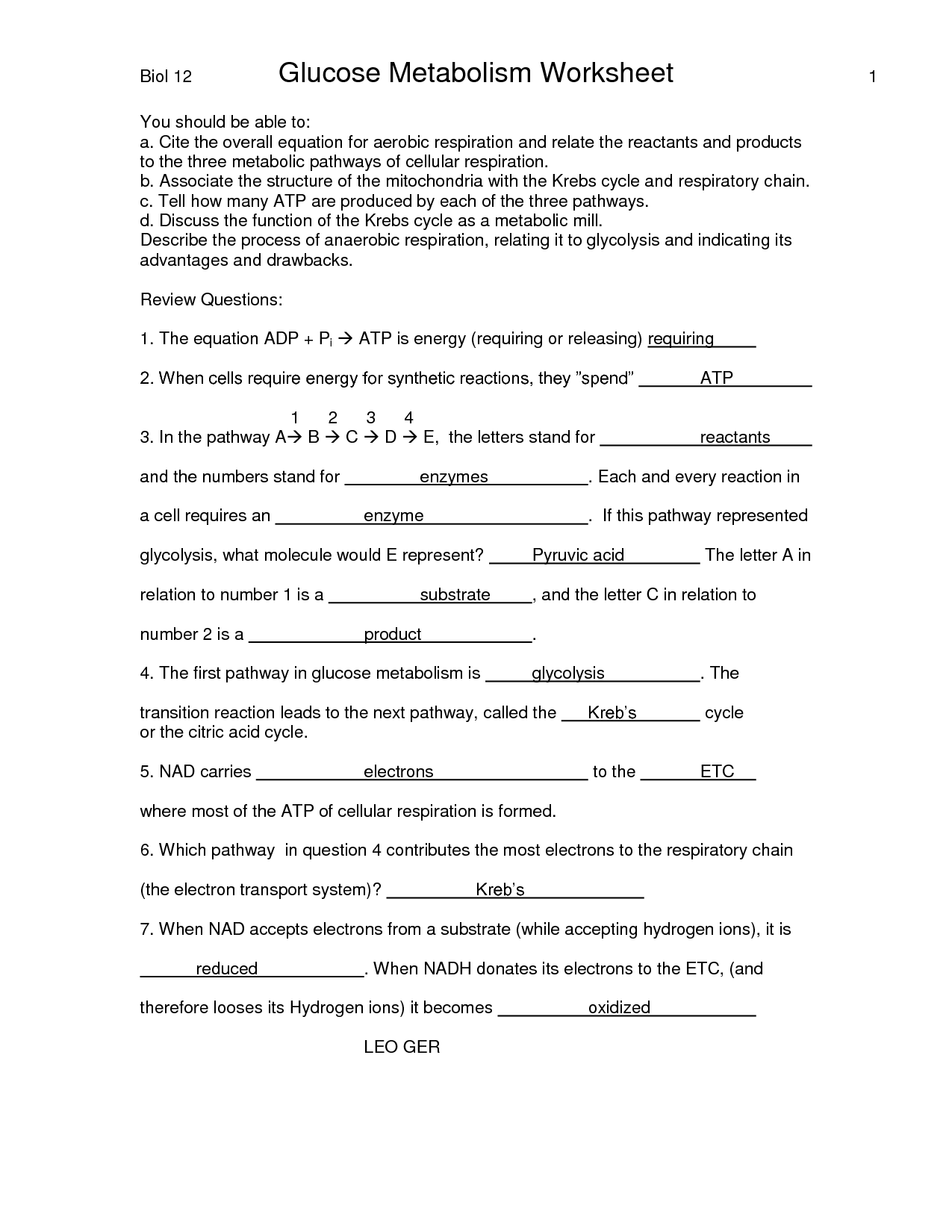 a case study in cellular respiration answers