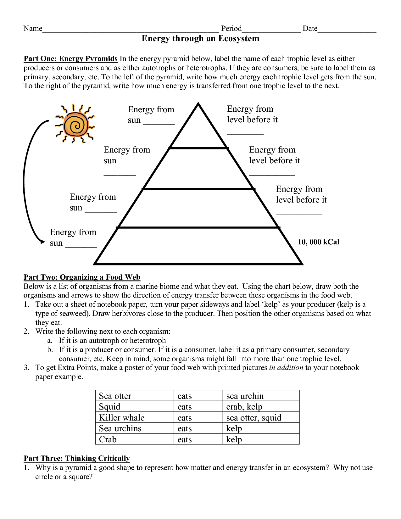 Web assignment