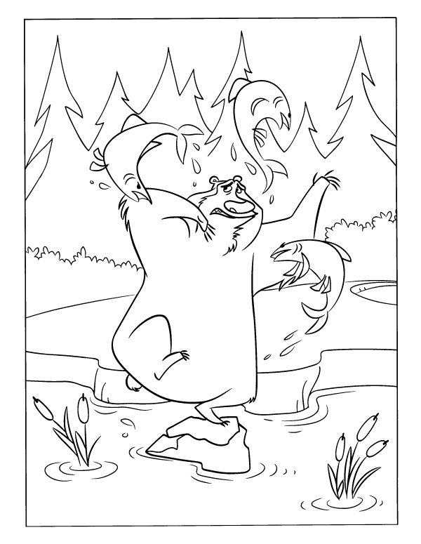 Colouring Pages Forest Animals - SonQuest Rainforest Coloring Mural by
