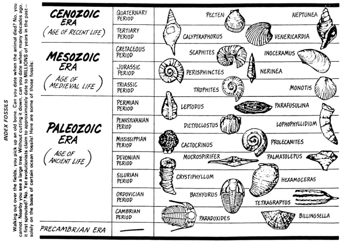 Types Of Rock Worksheet