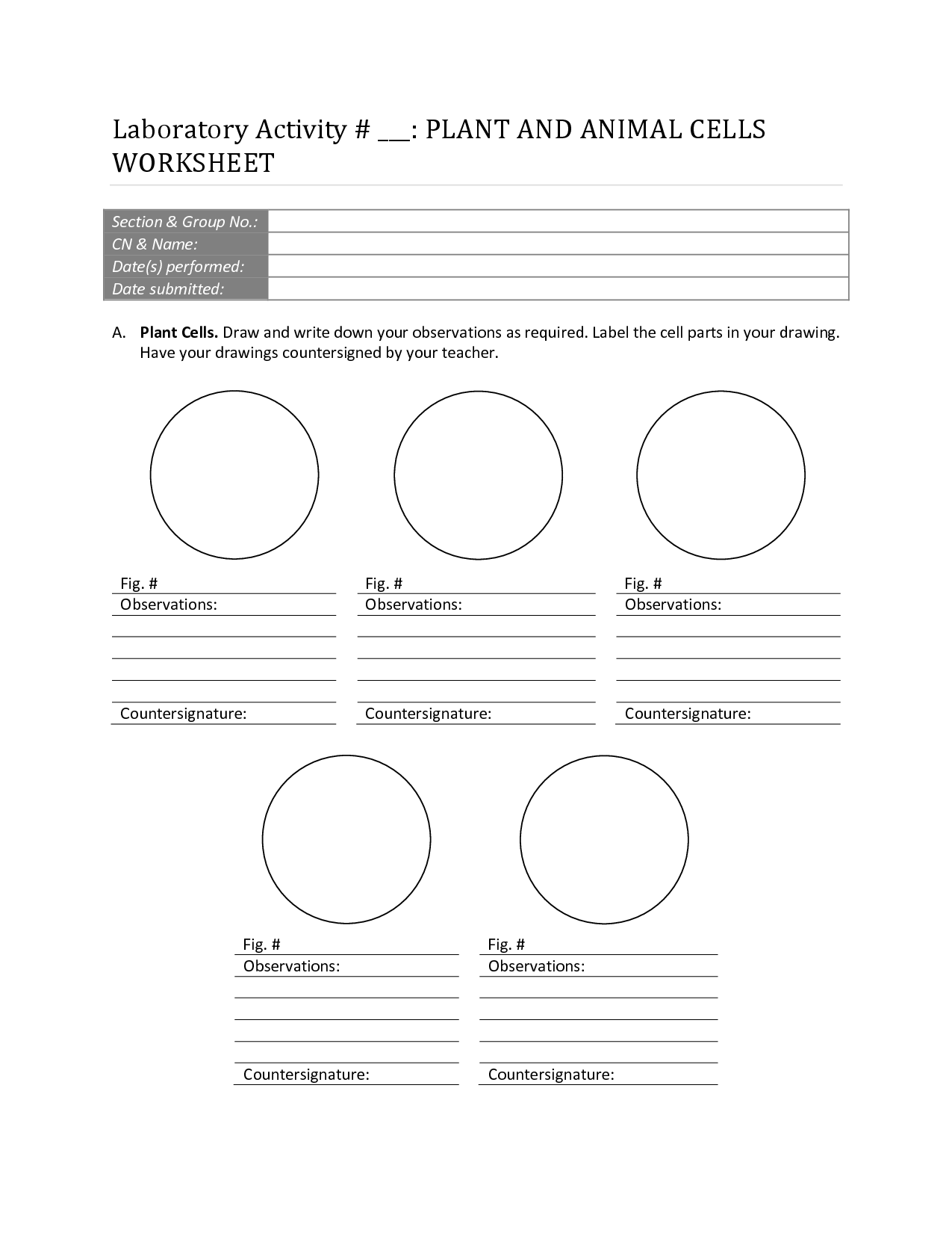 13 Best Images of Printable Worksheets Cells - Animal Cell Diagram
