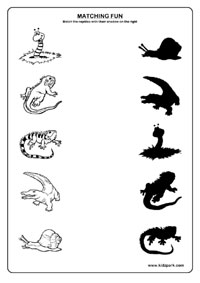 11 Best Images of Printable Reptile Worksheets - Reptile Worksheet