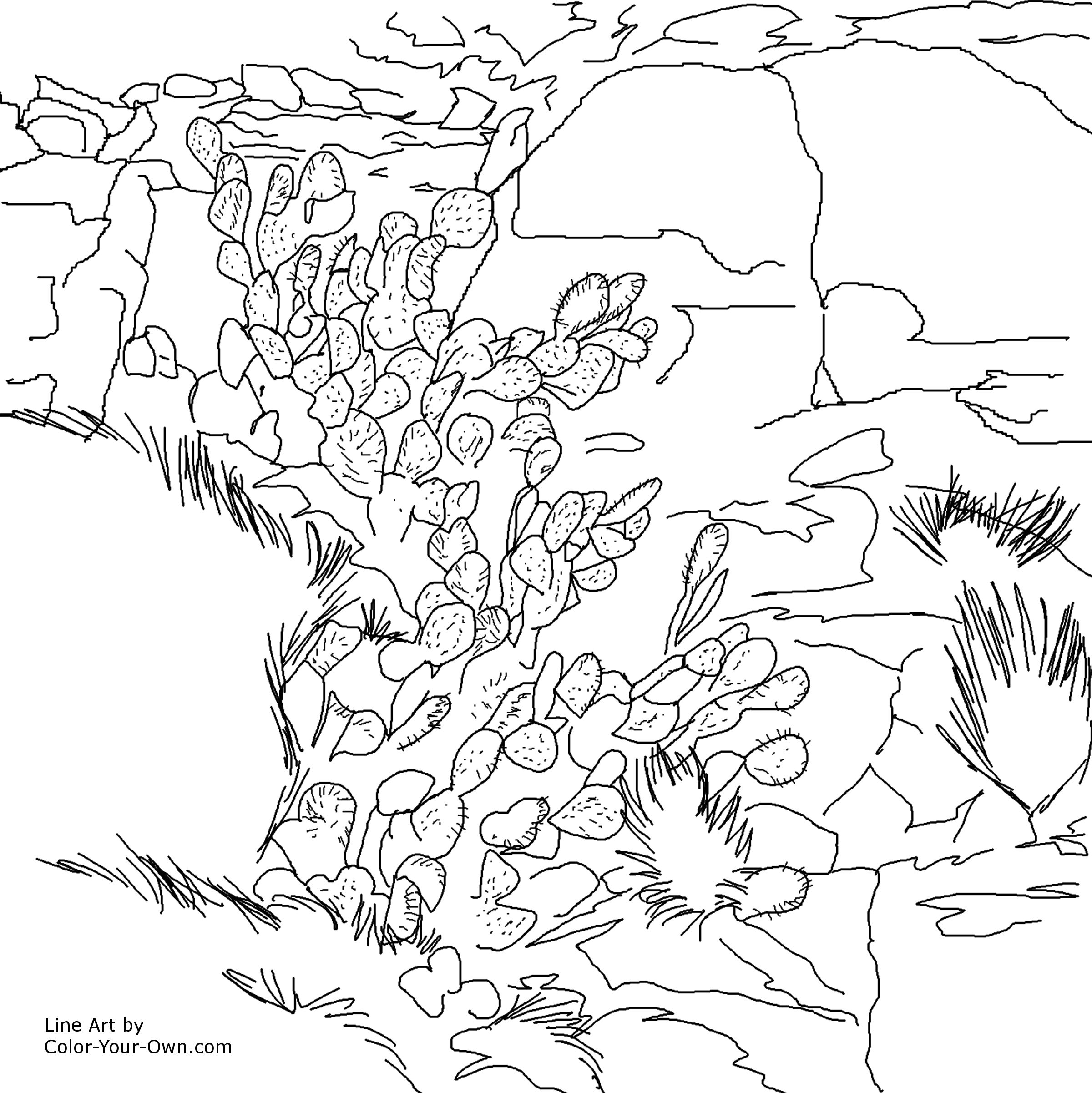 8 Best Images of Sedimentary Rock Worksheets - 3 Types of Rocks