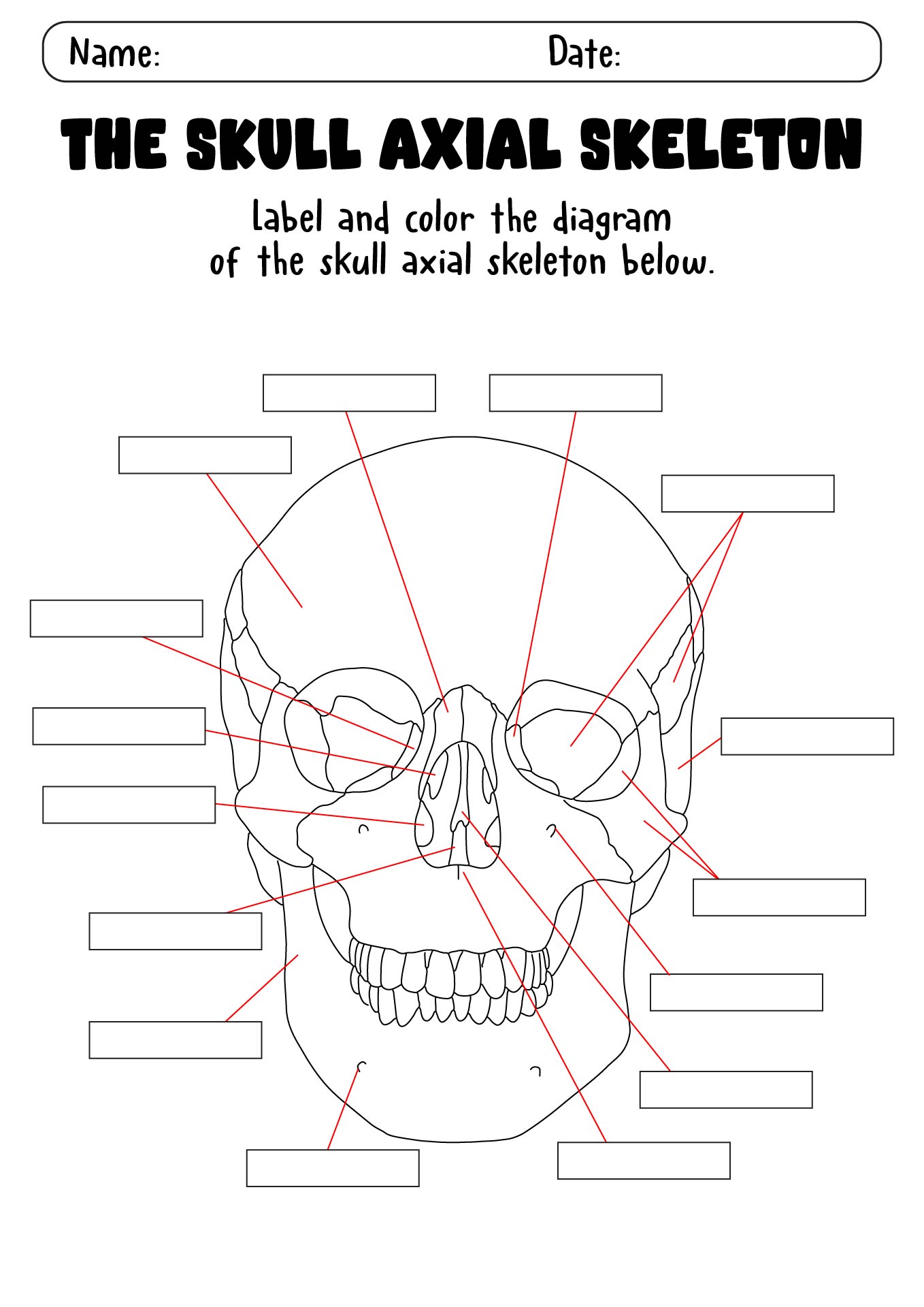 Skull Worksheets