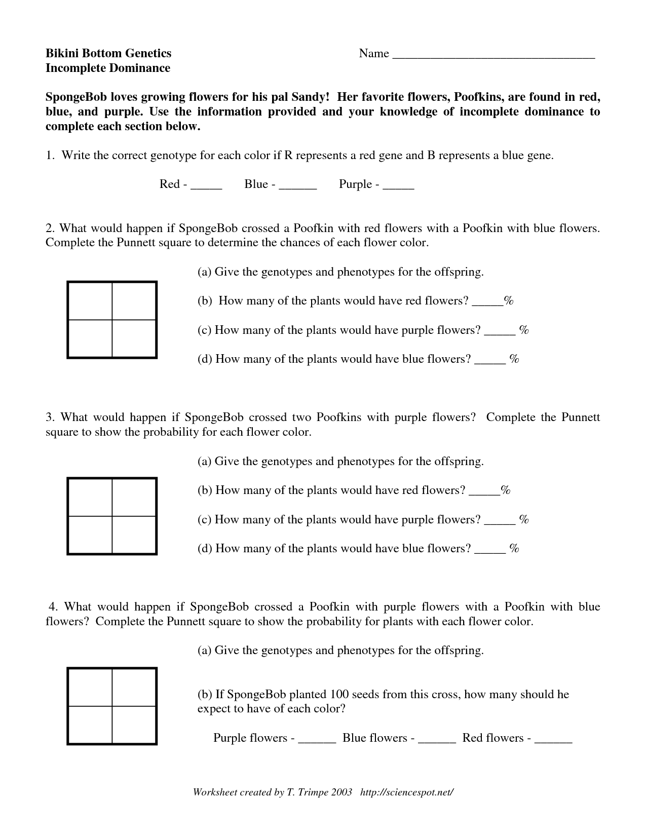 Codominance And Incomplete Dominance Worksheet Answer Key