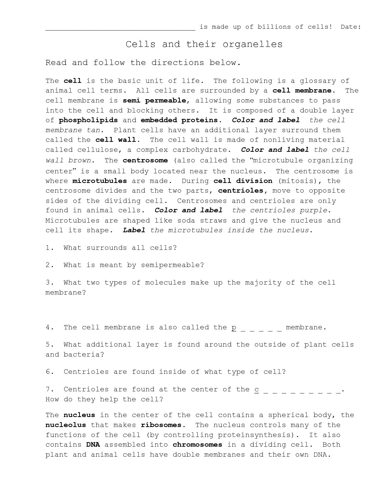 17 Best Images of Cell Membrane Images Worksheet Answers - Cell