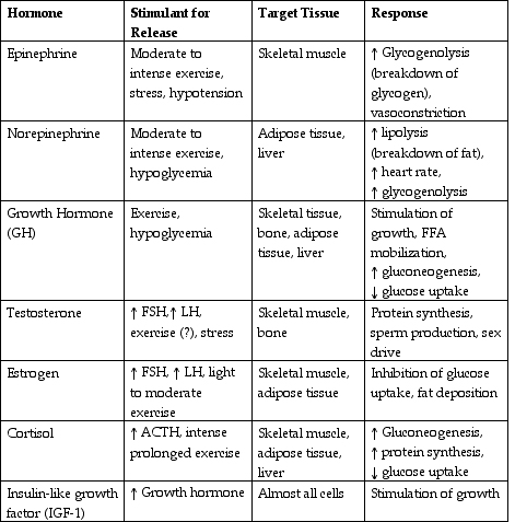 Endocrine System Hormones and Functions Chart