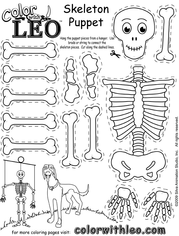 13-best-images-of-printable-skeleton-worksheets-skull-axial-skeleton