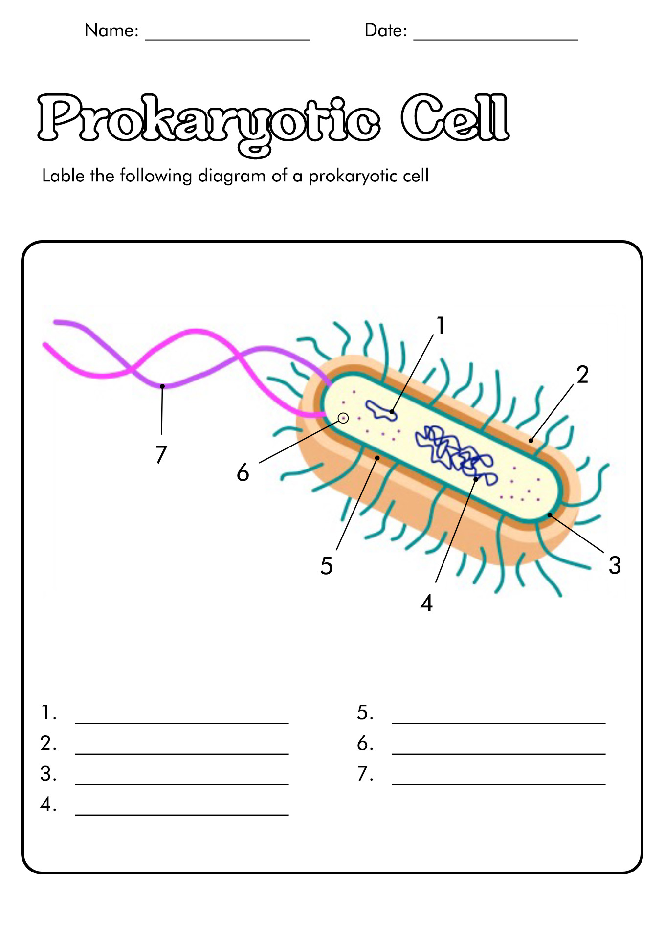 13 Best Images of Animal Research Worksheet - Animal Research Paper