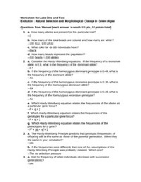Evolution Worksheet with Answer Key