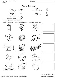 Preschool Science Worksheets Senses