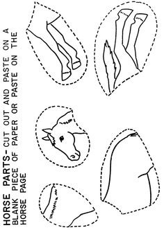 Horse Body Parts Printable Worksheet Sketch Coloring Page
