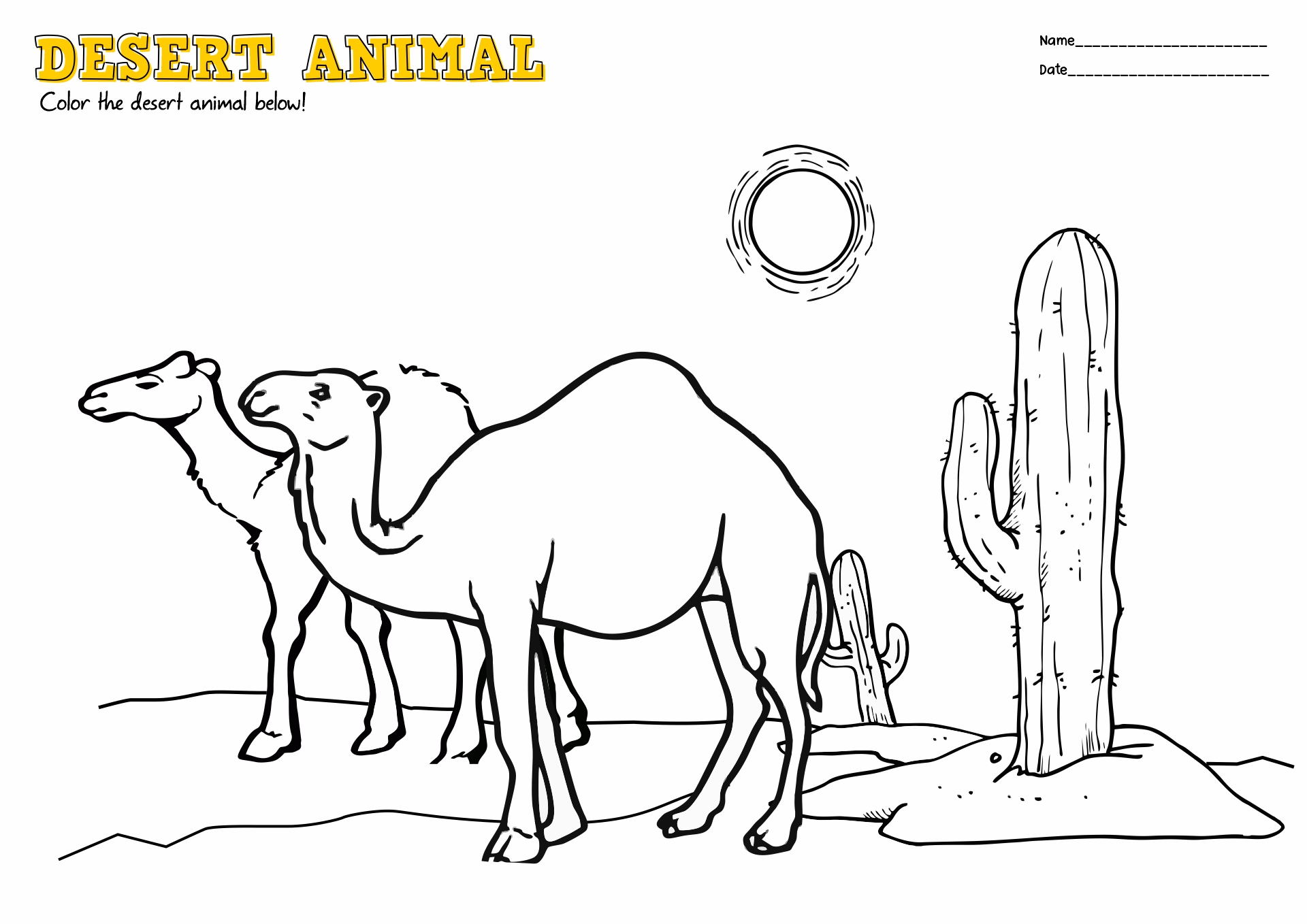 11 Best Images Of Biome Activity Worksheet Printable Biome Worksheets
