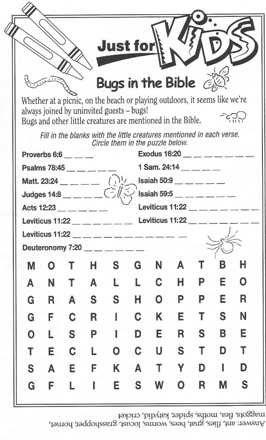 Books Of The Bible Worksheet