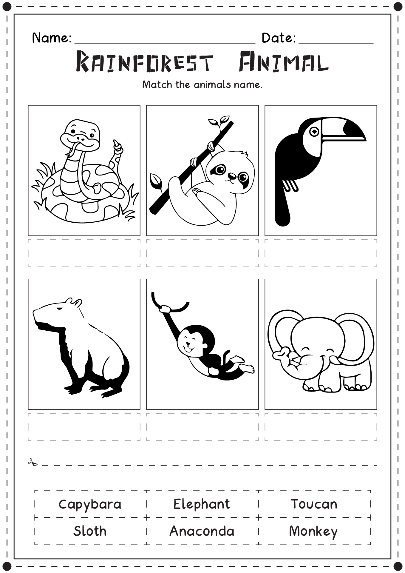 6 Best Images of Animal Coverings Worksheets For Kindergarten - Free