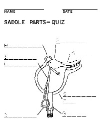 Part Western Saddle Fill in Blank Worksheet