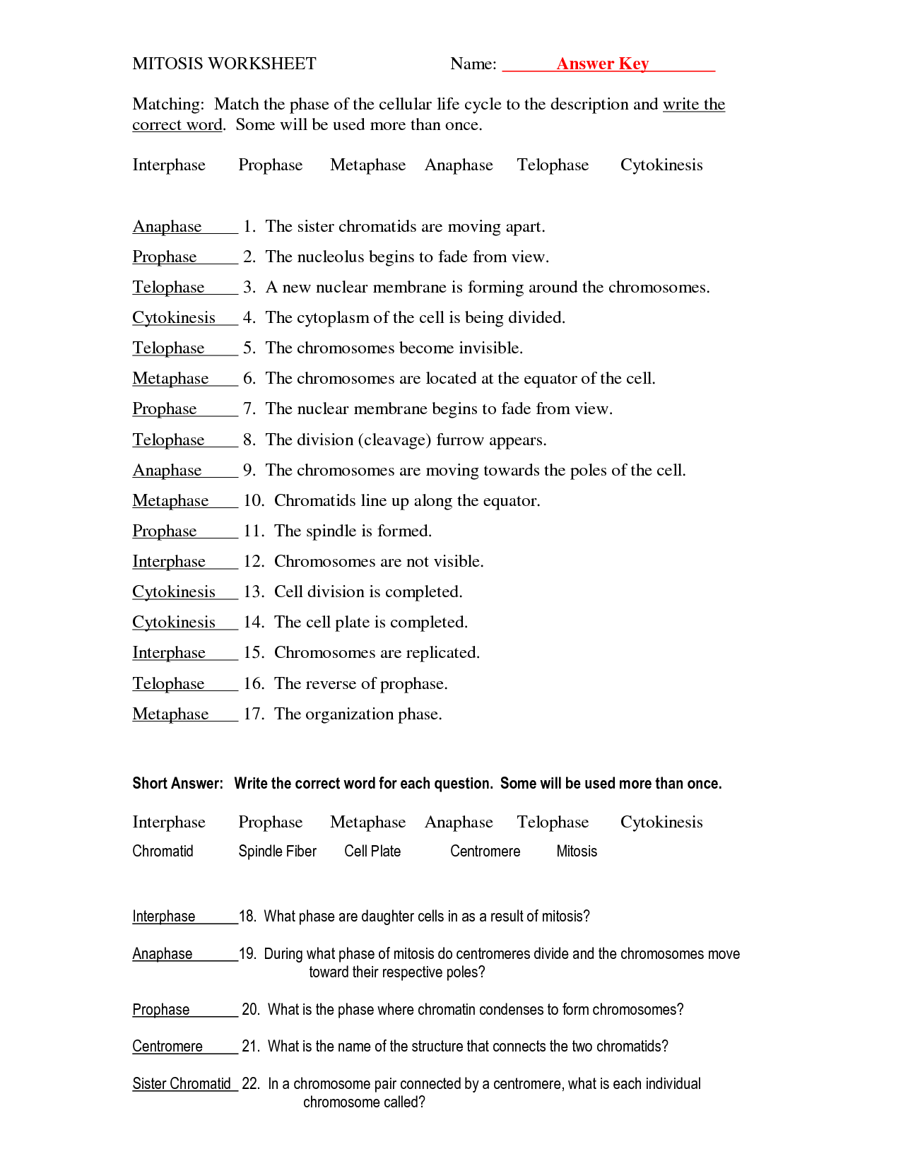 15 Best Images of Meiosis Stages Worksheet Answers - Meiosis Matching