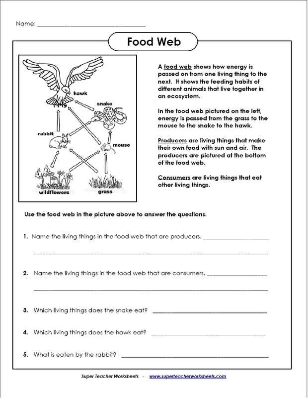 10 Images of Energy Flow Worksheets