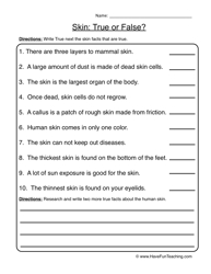Human Body Worksheet Grade 2