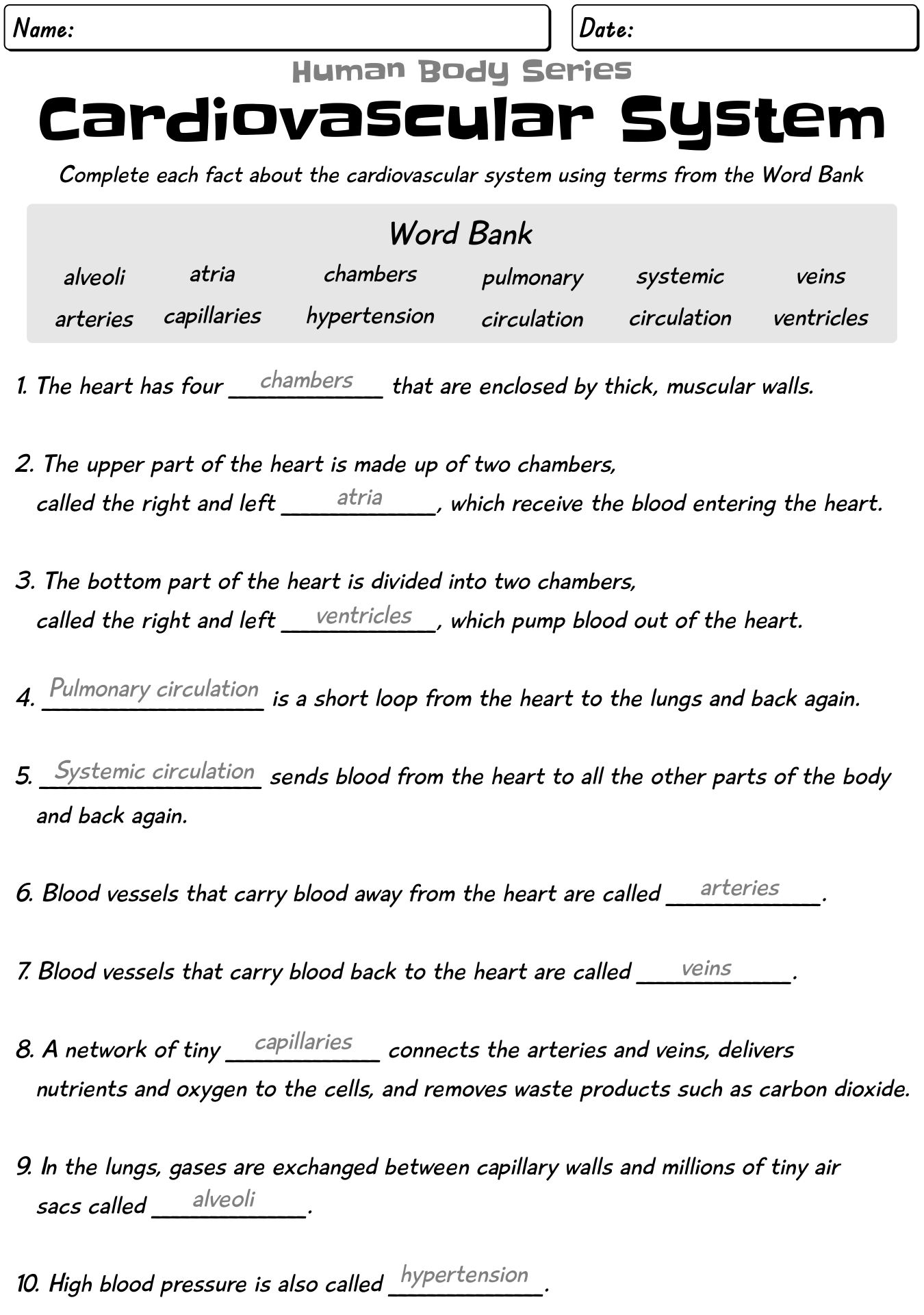 Introduction To The Circulatory System Worksheet