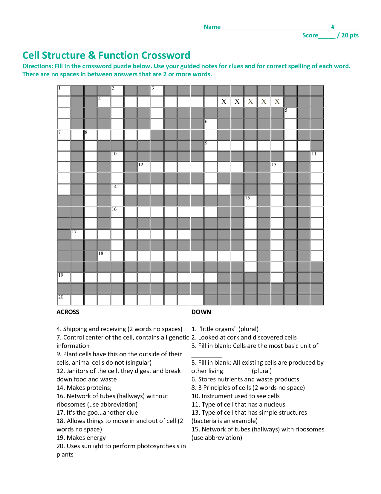 16 Best Images of Cell Crossword Puzzle Worksheet - Cell Structure and ...