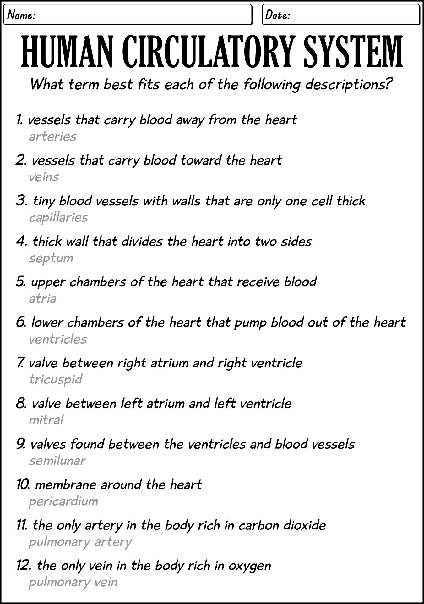 18-best-images-of-circulatory-system-worksheets-and-answers-circulatory-system-worksheets