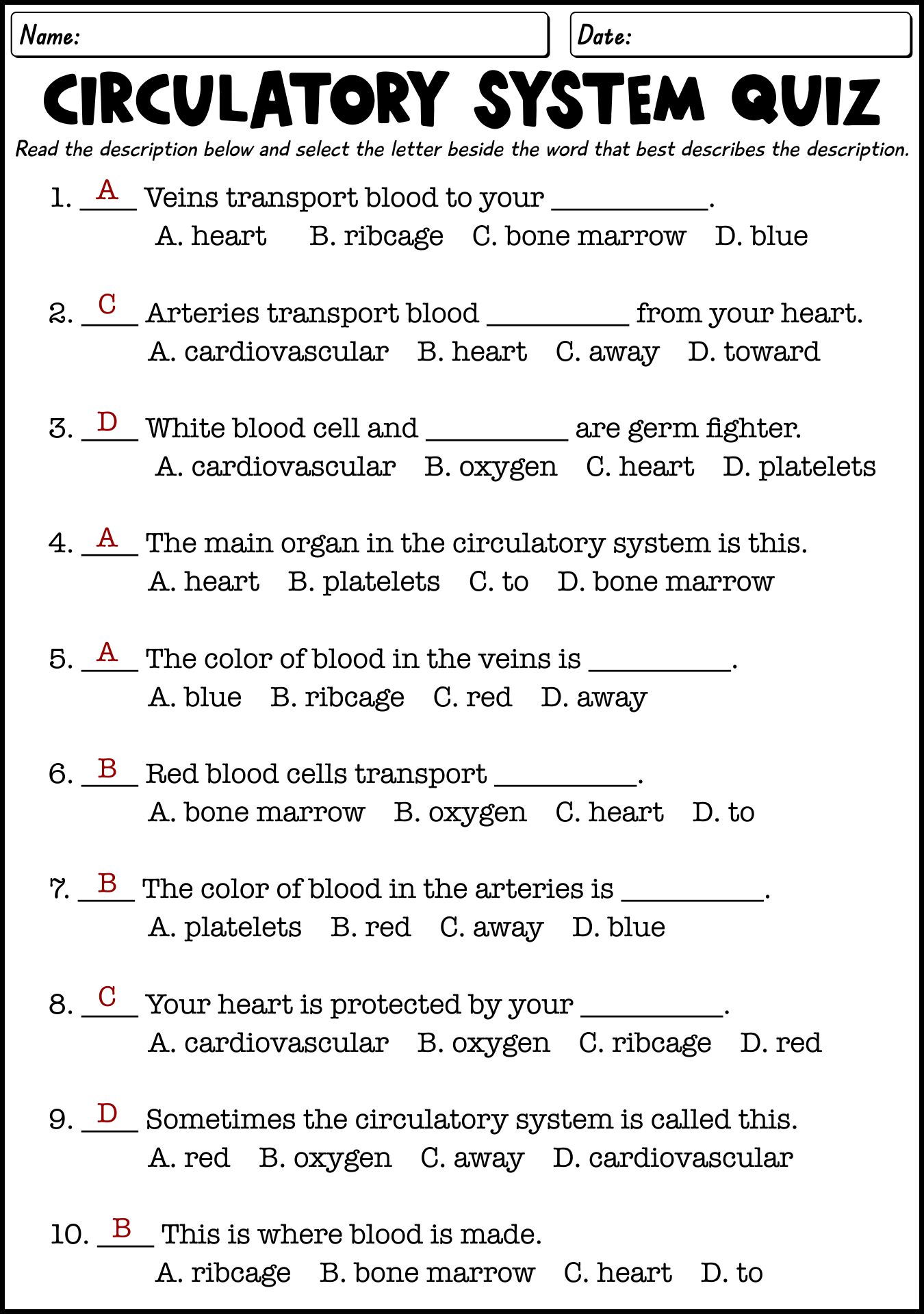 The Human Circulatory System Worksheet Answers