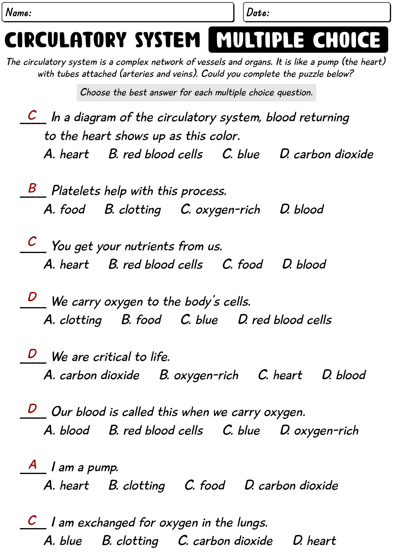 18 Best Images Of Circulatory System Worksheets And Answers