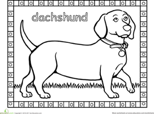 Dachshund Coloring Pages