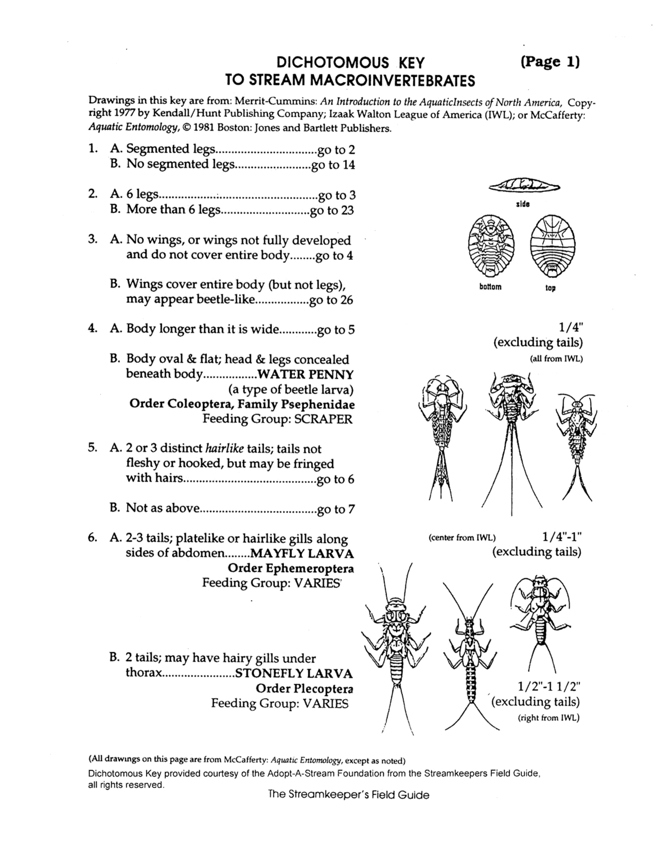 11 Best Images of Rock Classification Worksheet - Sedimentary Rocks