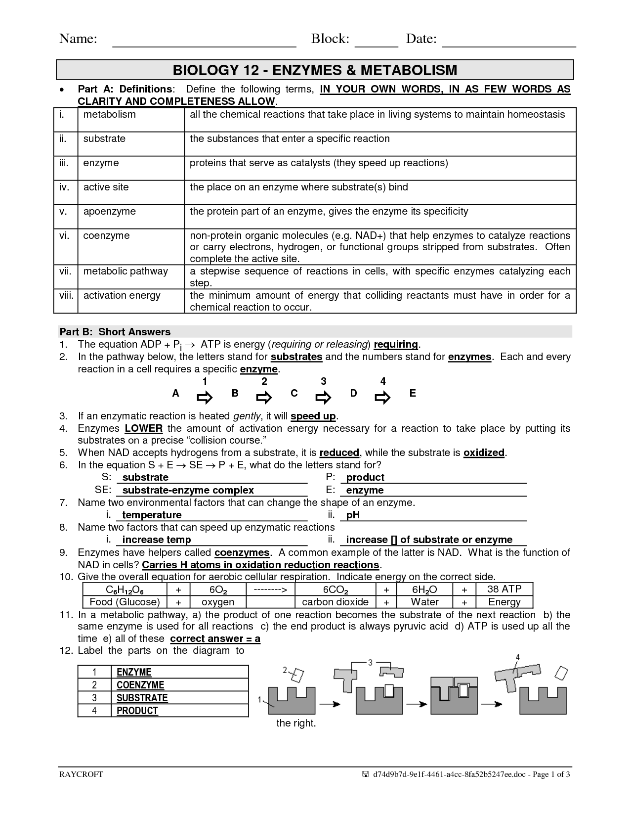 14 Best Images of Biological Molecules Worksheet Answers - Organic