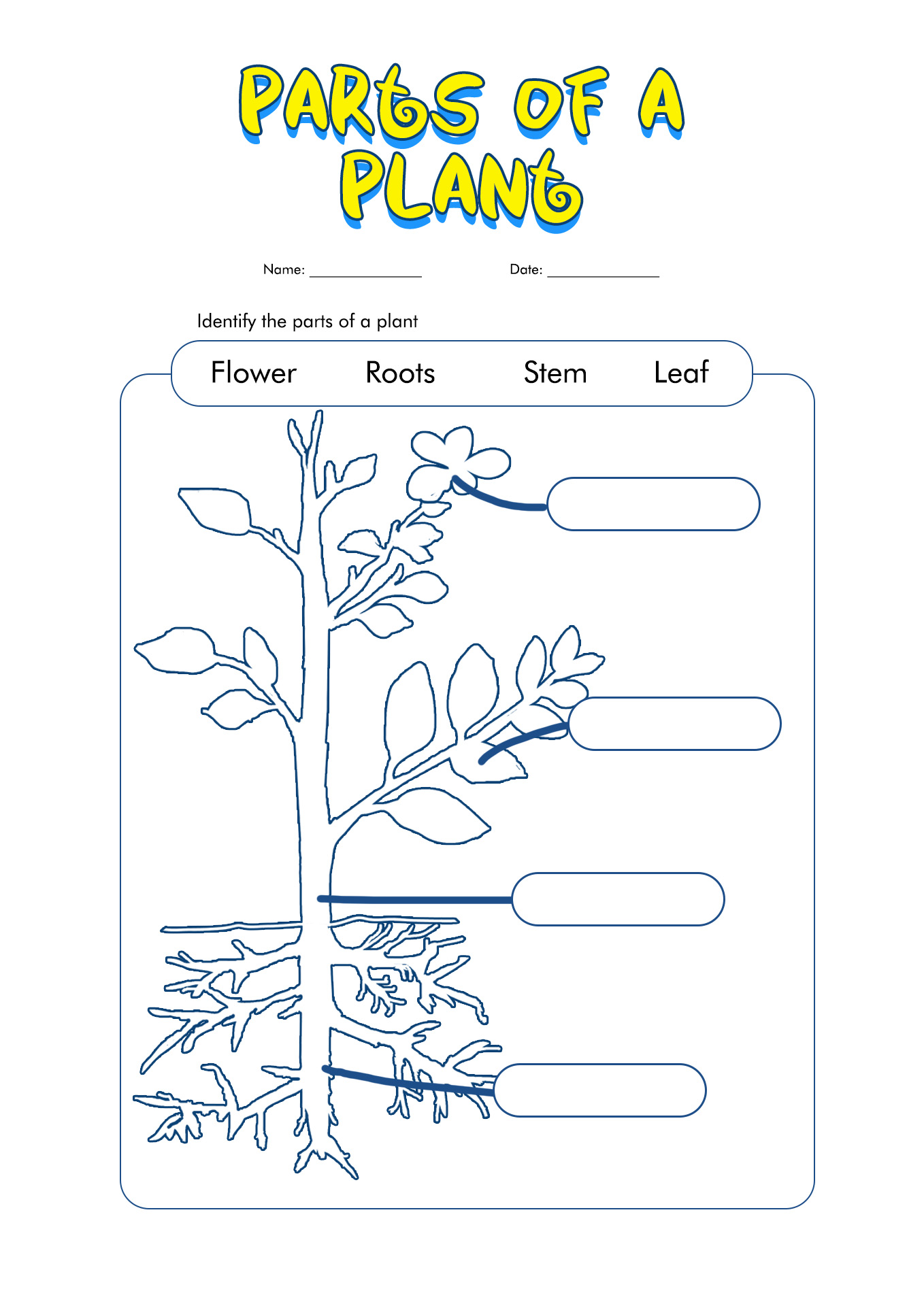 14-best-images-of-plant-worksheets-for-grade-1-printable-plant-parts