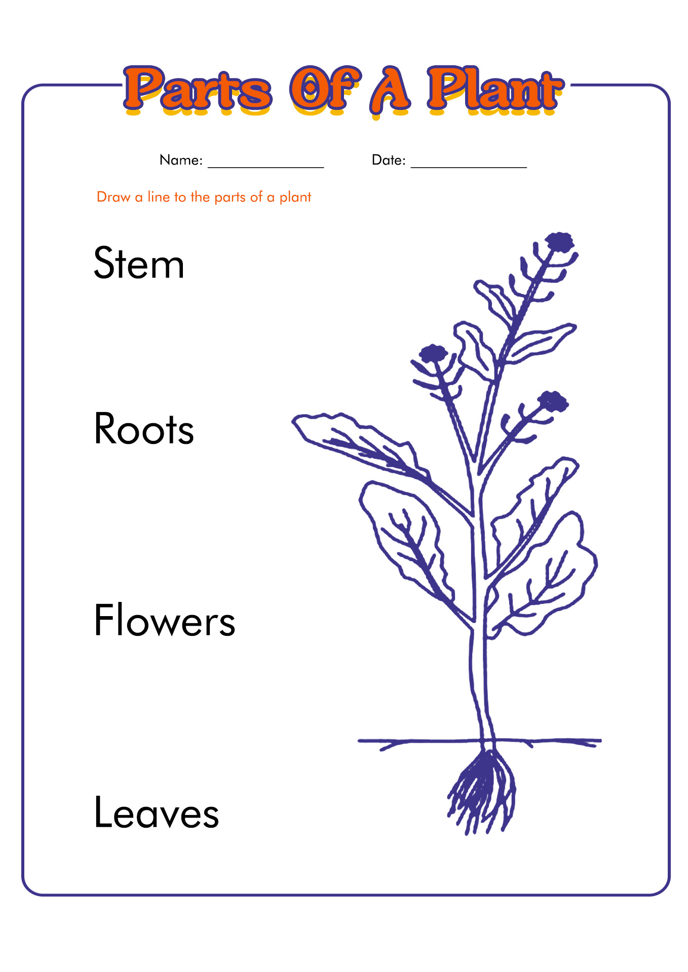 Parts Of A Plant Free Printable Worksheet