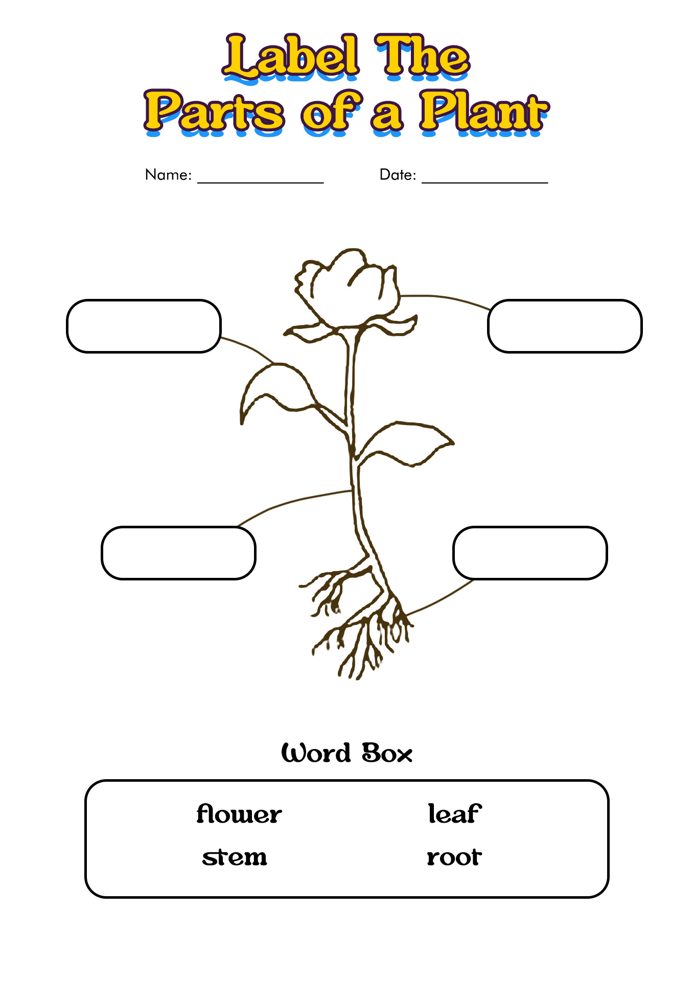 14-best-images-of-plant-worksheets-for-grade-1-printable-plant-parts-of-a-flower-worksheet