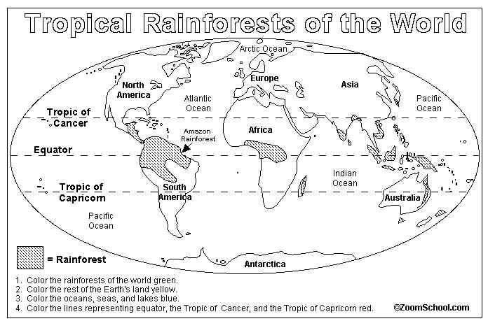 Rainforest Coloring Map