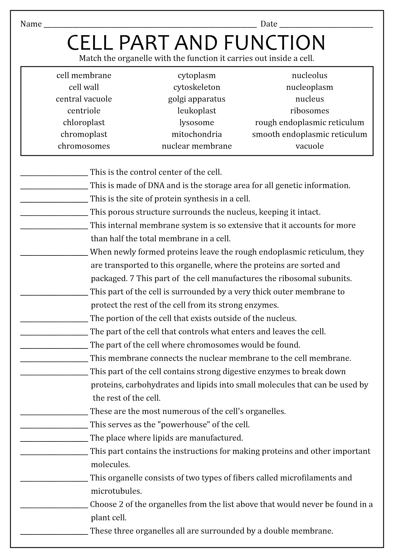 Cell Organelles And Their Functions Matching Worksheet Answer Key