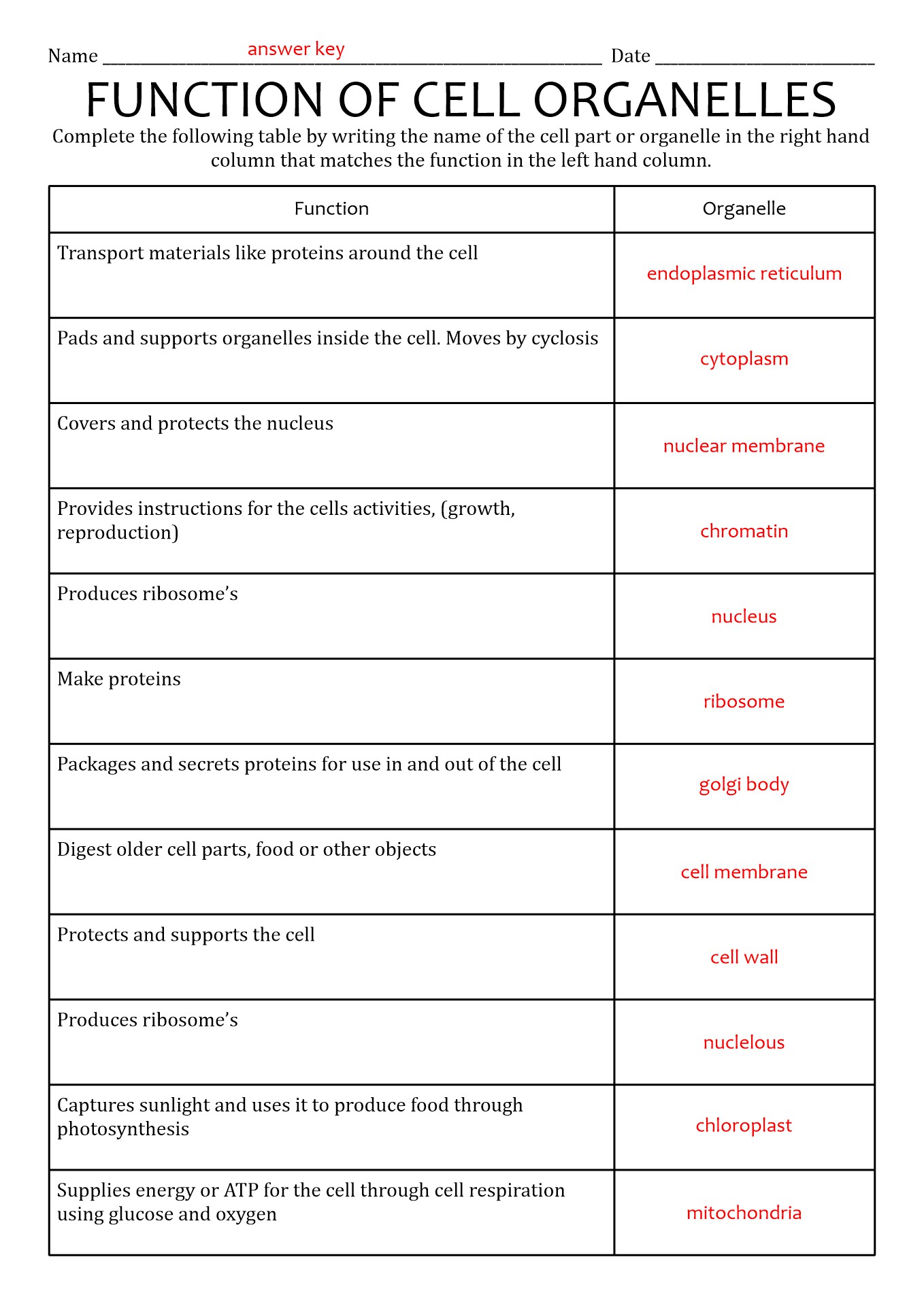 16-best-images-of-cells-and-their-organelles-worksheet-cell-organelles-worksheet-answer-key