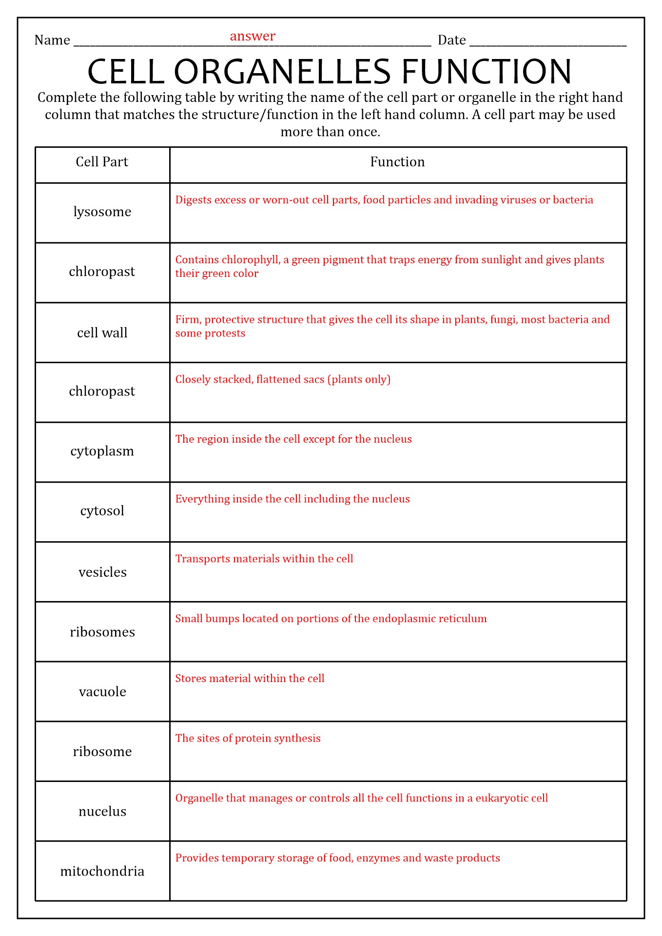 Cell Organelles And Their Functions Worksheet Answer Key