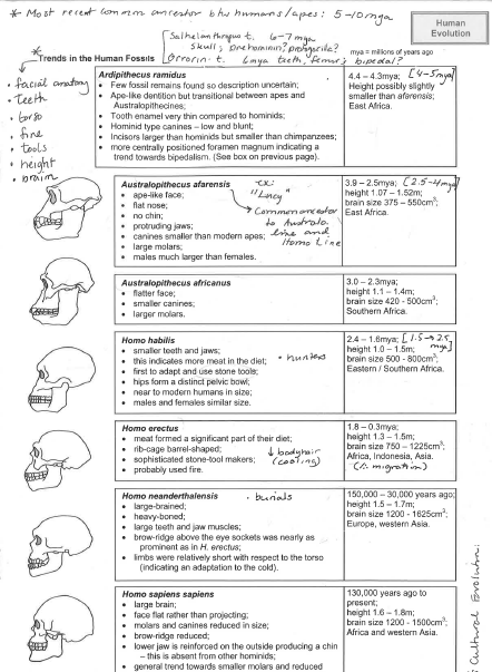 new-genetics-basics-worksheet-answer-key-coub